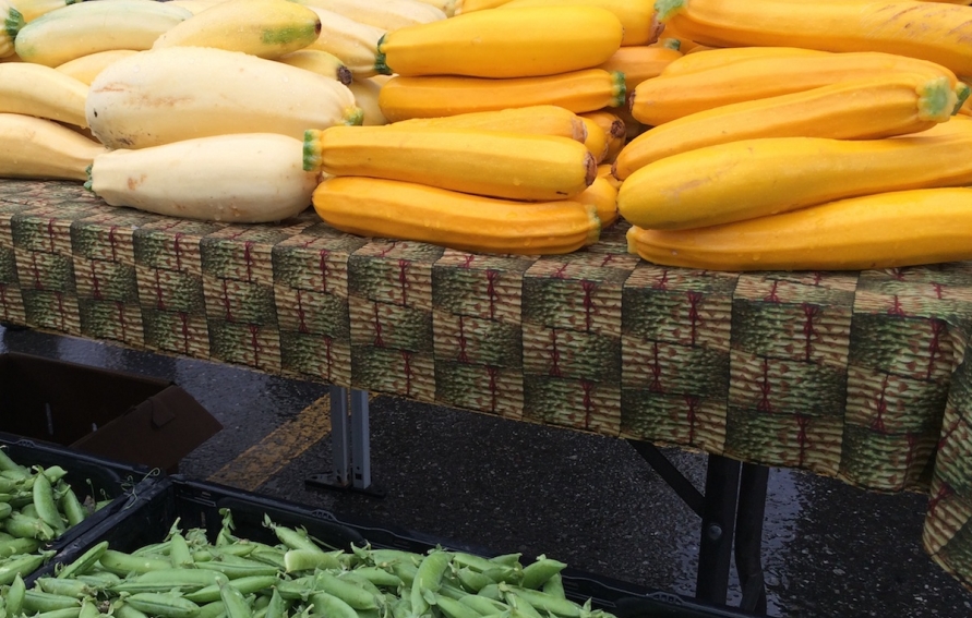 Cream of Alaska Summer Squash and Fresh Sweet Basil Soup